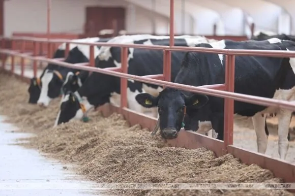 Фото 1